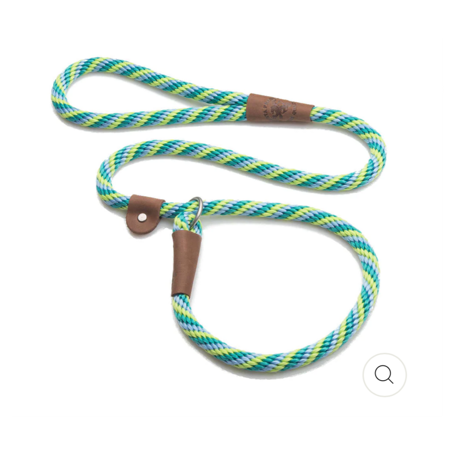 Mendota Slip Leash - Seafoam